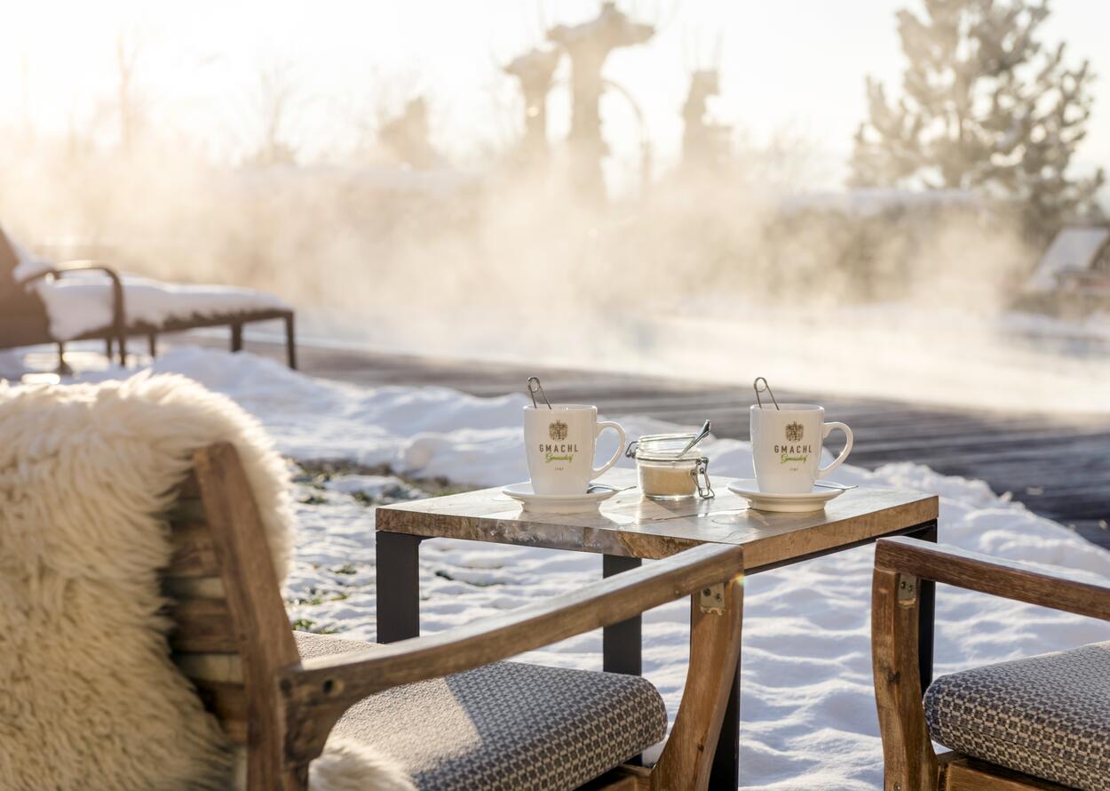 Winter Garten| Best Alpine Wellness Hotel Gmachl, Salzburg