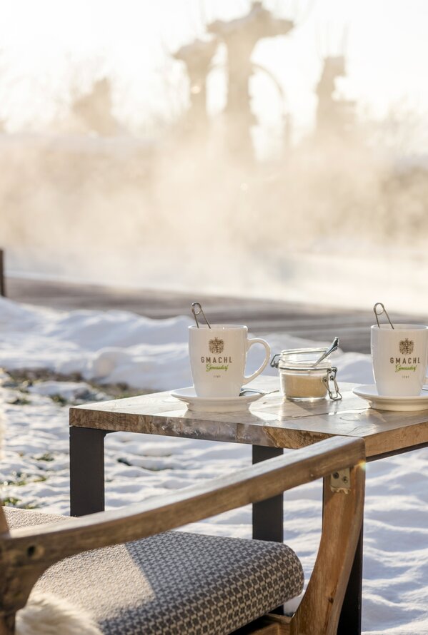 Winter Garten| Best Alpine Wellness Hotel Gmachl, Salzburg