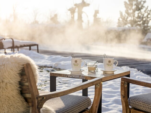 Winter Garten| Best Alpine Wellness Hotel Gmachl, Salzburg